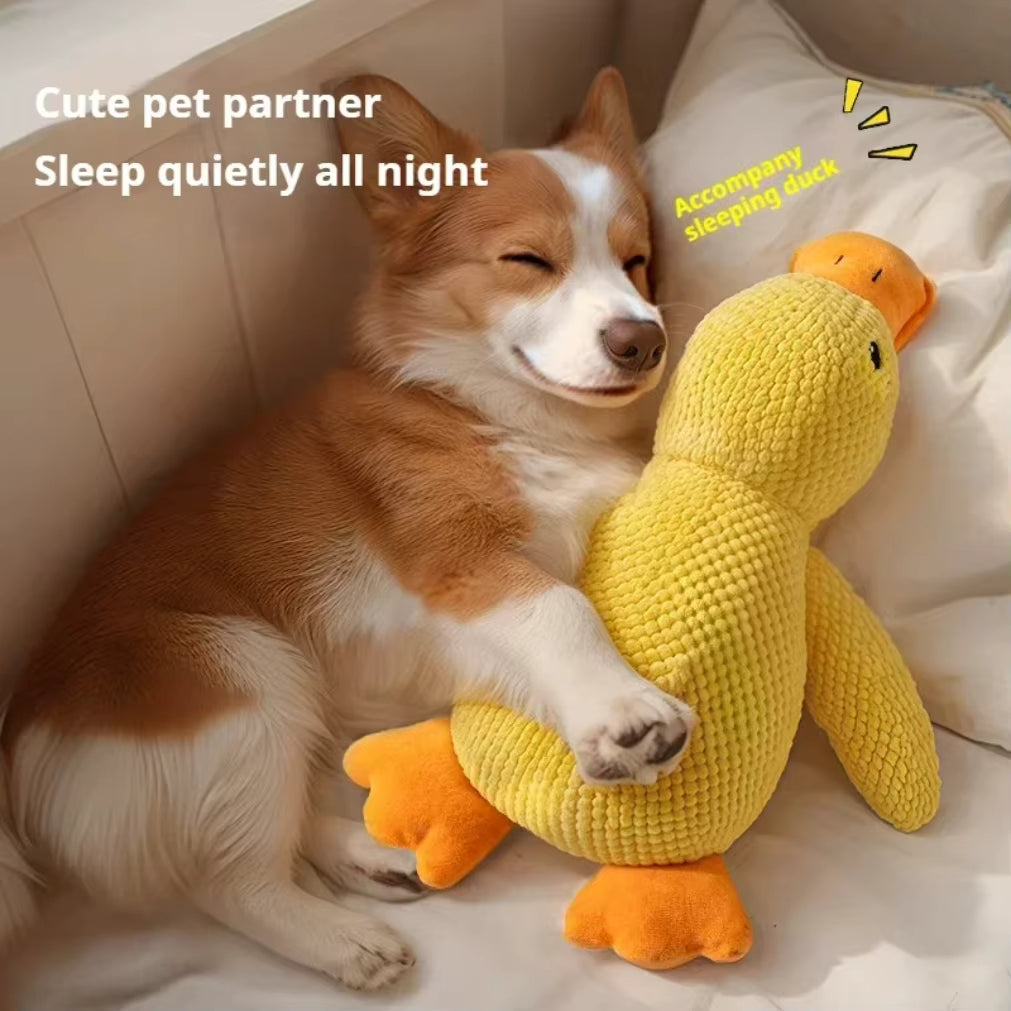 Calmpaws - produto teste