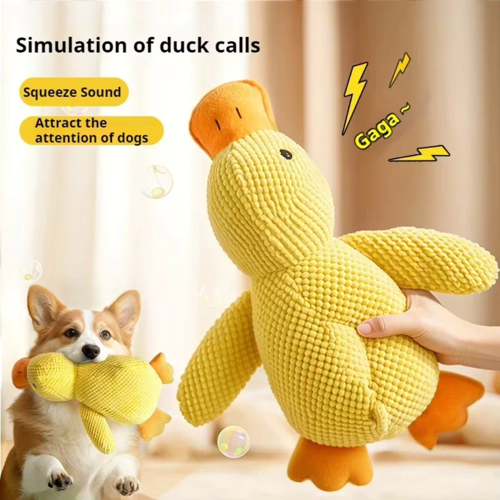 Calmpaws - produto teste